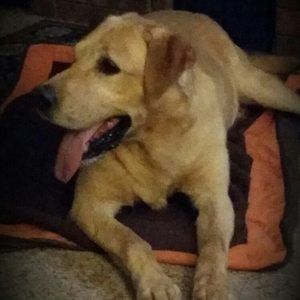 Meet your Posher, Jeff